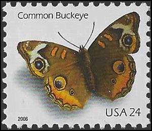#4000 24c Common Buckeye Butterfly 2006 Mint NH