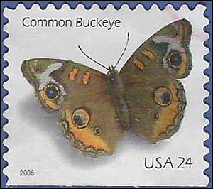 #4001a 24c Common Buckeye Butterfly Booklet Single 2006 Used