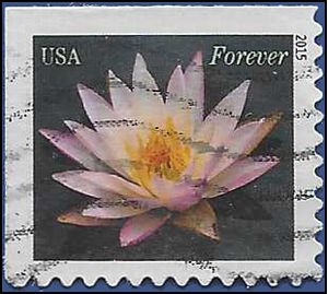 #4964 (49c Forever) Pale Pink Water Lily Booklet Single 2015 Used