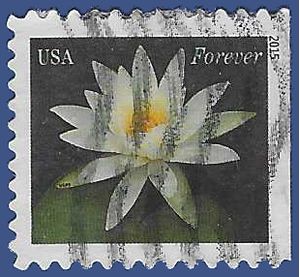 #4967 (49c Forever) White Water Lily Booklet Single 2015 Used