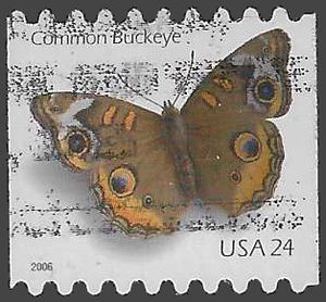 #4002 24c Common Buckeye Butterfly Coil Single 2006 Used