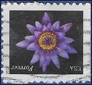 #4966 (49c Forever) Purple Water Lily Booklet Single 2015 Used