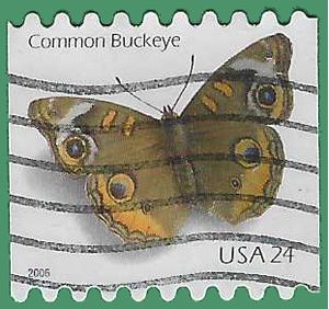 #4002 24c Common Buckeye Butterfly Coil Single 2006 Used