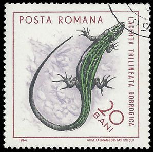 Romania #1721 1965 CTO