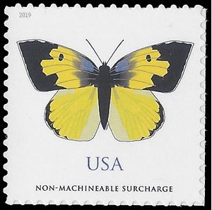 #5346 (70c Forever) California Dogface Butterfly Non-Machinable Surcharge 2019 Mint NH