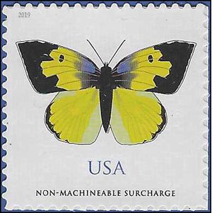 #5346 (70c Forever) California Dogface Butterfly Non-Machinable Surcharge 2019 Mint NH