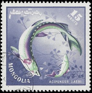 Mongolia # 391 1965 CTO