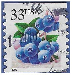 #3302 33c Blueberries Coil Single 1999 Used