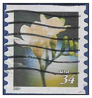 #3462 34c Flowers Coil Single 2000 Used