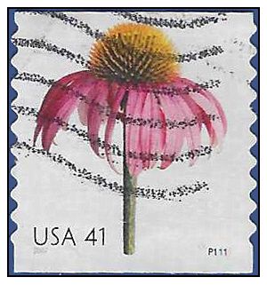 #4184 41c Flowers Coneflower Booklet Single 2007 Used