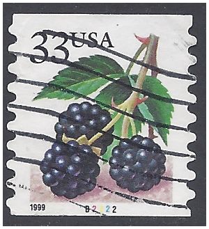 #3304 33c Blackberries PNC Coil Single #B2222 1999 Used