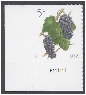 #5177 5c Grapes P# 2017 Mint NH