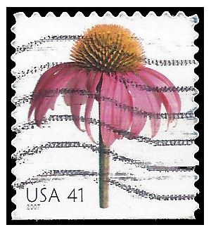 #4184 41c Flowers Coneflower Booklet Single 2007 Used