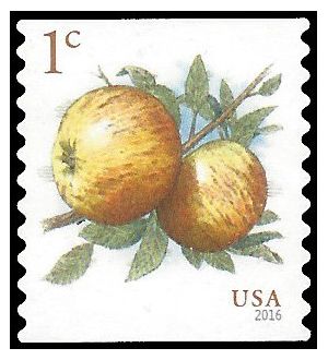 #5037 1c Apples Coil Single 2016 Used