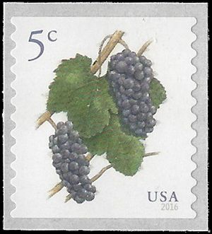 #5038 5c Grapes Coil Single 2016 Mint NH