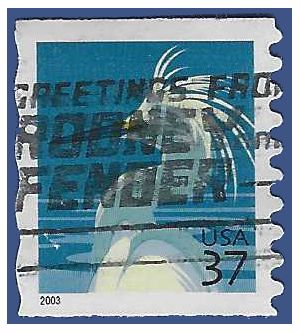 #3829 37c Snowy Egret Coil Single  2003 Used Roll End