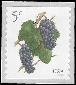 #5038 5c Grapes Coil Single 2016 Mint NH