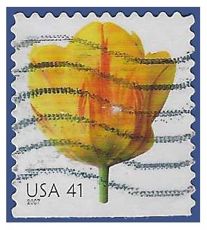 #4185 41c Flowers Tulip Booklet Single 2007 Used