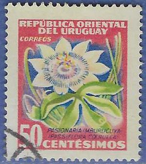 Uruguay # 616 1954 Used