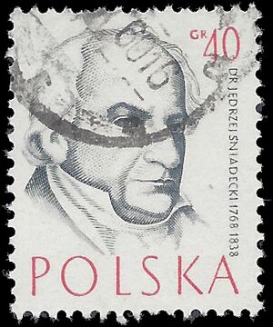 Poland # 771 1957 Used