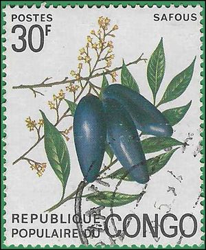 Congo, People's Republic of # 300 1974 Used