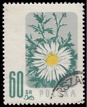 Poland # 782 1957 CTO