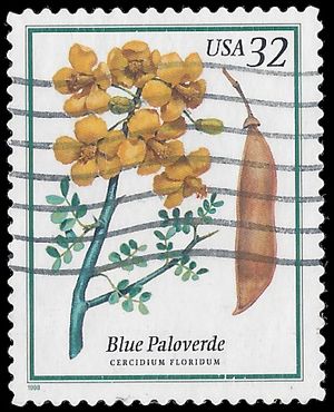 #3194 32c Flowering Trees Blue Paloverde 1998 Used