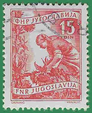 Yugoslavia # 347 1952 CTO H