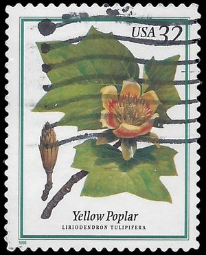 #3195 32c Flowering Trees Yellow Poplar 1998 Used