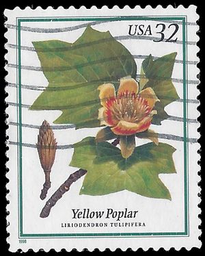 #3195 32c Flowering Trees Yellow Poplar 1998 Used