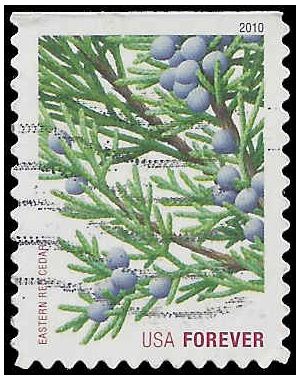#4479 44c Holiday Evergreens Eastern Red Cedar Booklet Single 2010 Used
