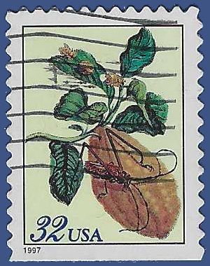 #3126 32c Merian Botanical Prints Booklet Single 1997 Used