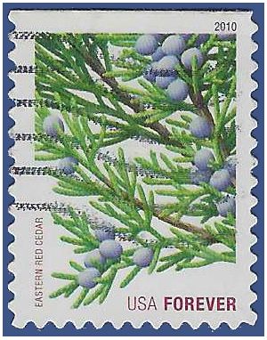 #4479 44c Holiday Evergreens Eastern Red Cedar Booklet Single 2010 Used