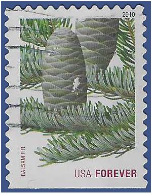 #4480 44c Holiday Evergreens Balsam Fir 2010 Used