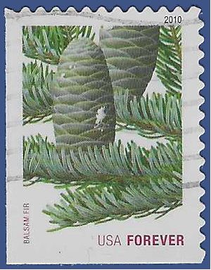 #4480 44c Holiday Evergreens Balsam Fir 2010 Used