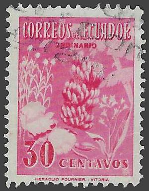 Ecuador # 591 1954 Used