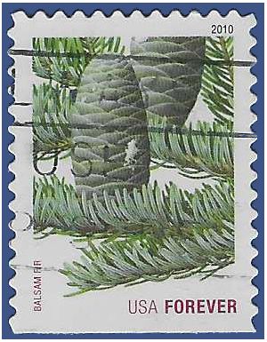 #4480 44c Holiday Evergreens Balsam Fir 2010 Used