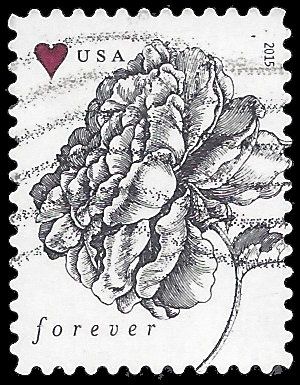 #4959 (49c Forever) Vintage Rose 2015 Used