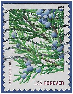 #4479 44c Holiday Evergreens Eastern Red Cedar Booklet Single 2010 Used
