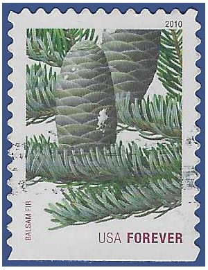 #4480 44c Holiday Evergreens Balsam Fir 2010 Used