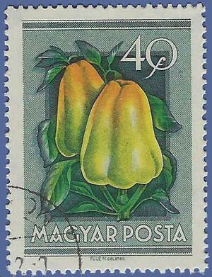 Hungary #1088 1954 CTO