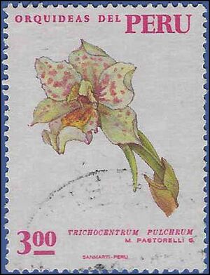 Peru # 556 1971 Used