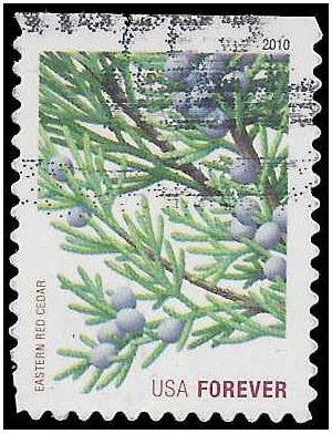 #4479 44c Holiday Evergreens Eastern Red Cedar Booklet Single 2010 Used