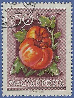 Hungary #1089 1954 CTO