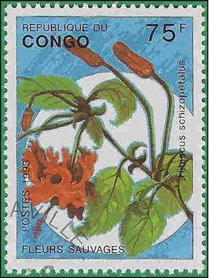 Congo, People's Republic of #1016 1993 CTO H