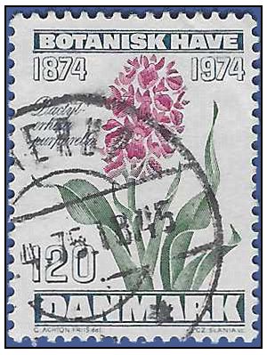 Denmark # 561 1974 Used