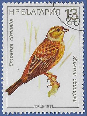 Bulgaria #3282 1987 CTO