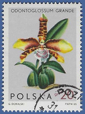 Poland #1346 1965 Used