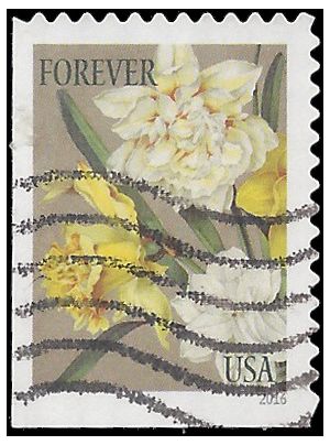 #5051 Botanical Art Jonquils Booklet Single 2016 Used