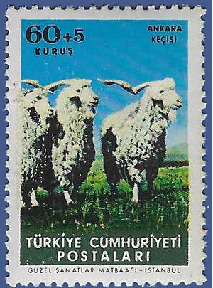 Turkey #B101 1964 Mint Gum Disturbance/Toning